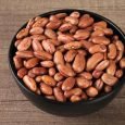 Rajma Plain